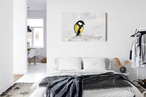 Obraz na płótnie Sikorka na śniegu Fotografia przyrodnicza  Premium Canvas - obrazek 7