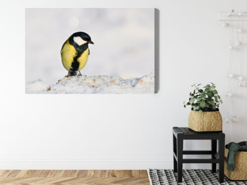 Obraz na płótnie Sikorka na śniegu Fotografia przyrodnicza  Premium Canvas - obrazek 8