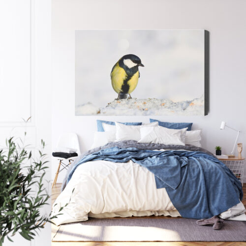 Obraz na płótnie Sikorka na śniegu Fotografia przyrodnicza  Premium Canvas - obrazek 3