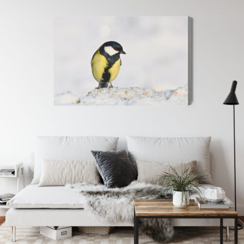 Obraz na płótnie Sikorka na śniegu Fotografia przyrodnicza  Premium Canvas - obrazek 4