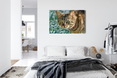 Obraz na płótnie Kot w trawie Fotografia Przyrody  Premium Canvas - obrazek 7