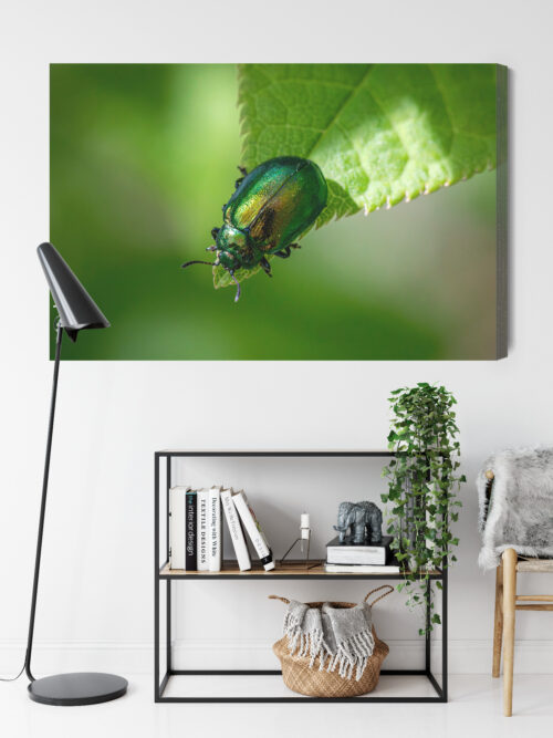 Obraz na płótnie Zielony Chrząszcz Makrofotografia Natura  Premium Canvas - obrazek 9