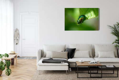 Obraz na płótnie Zielony Chrząszcz Makrofotografia Natura  Premium Canvas - obrazek 6