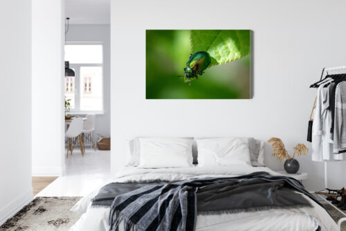 Obraz na płótnie Zielony Chrząszcz Makrofotografia Natura  Premium Canvas - obrazek 7