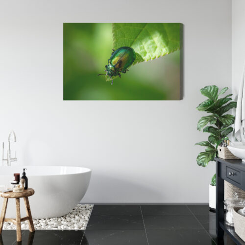 Obraz na płótnie Zielony Chrząszcz Makrofotografia Natura  Premium Canvas - obrazek 5