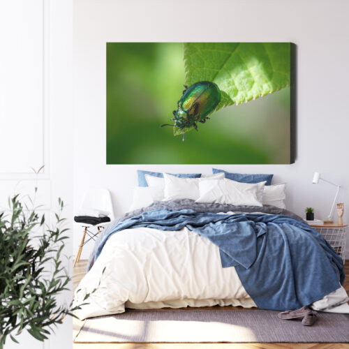 Obraz na płótnie Zielony Chrząszcz Makrofotografia Natura  Premium Canvas - obrazek 3