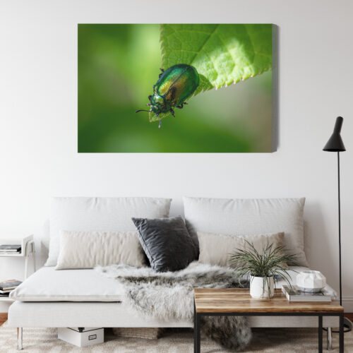 Obraz na płótnie Zielony Chrząszcz Makrofotografia Natura  Premium Canvas - obrazek 4