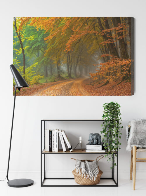 Obraz na płótnie Jesienny las Droga wśród drzew mgła  Premium Canvas - obrazek 9