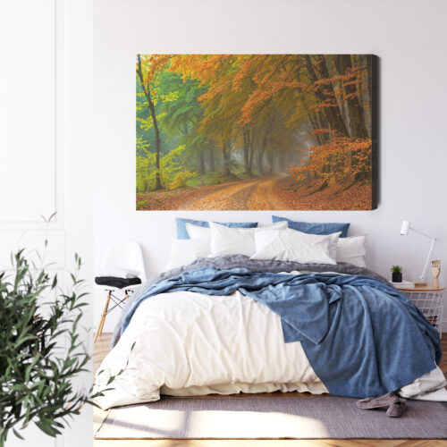 Obraz na płótnie Jesienny las Droga wśród drzew mgła  Premium Canvas - obrazek 3