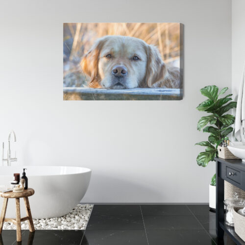 Obraz na płótnie Zwierzęta Pies portret Premium Canvas - obrazek 5