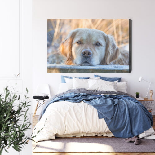 Obraz na płótnie Zwierzęta Pies portret Premium Canvas - obrazek 3