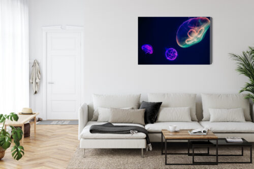 Obraz na płótnie Meduzy w neonowym świetle Nowoczesna fotografia Premium Canvas - obrazek 6