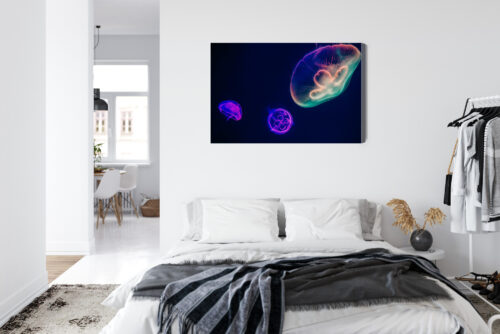 Obraz na płótnie Meduzy w neonowym świetle Nowoczesna fotografia Premium Canvas - obrazek 7