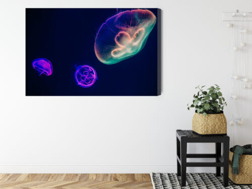 Obraz na płótnie Meduzy w neonowym świetle Nowoczesna fotografia Premium Canvas - obrazek 8