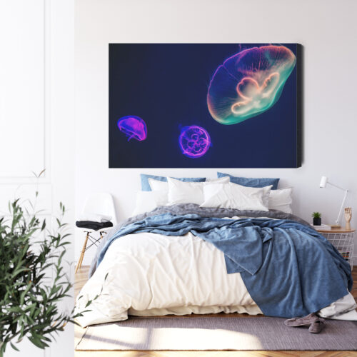Obraz na płótnie Meduzy w neonowym świetle Nowoczesna fotografia Premium Canvas - obrazek 3