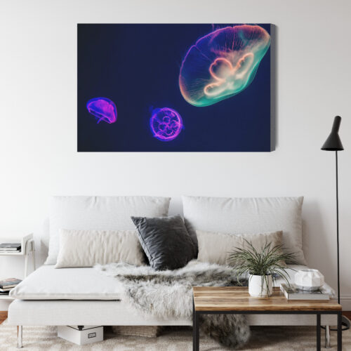 Obraz na płótnie Meduzy w neonowym świetle Nowoczesna fotografia Premium Canvas - obrazek 4