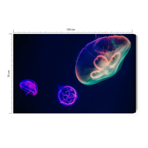 Obraz na płótnie Meduzy w neonowym świetle Nowoczesna fotografia Premium Canvas