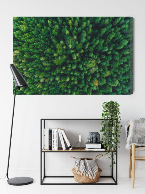 Obraz na płótnie Las Natura Widok z góry  Premium Canvas - obrazek 9