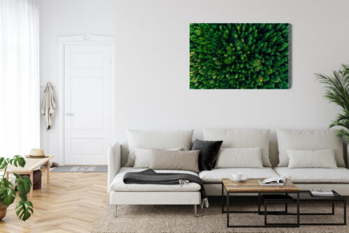 Obraz na płótnie Las Natura Widok z góry  Premium Canvas - obrazek 6