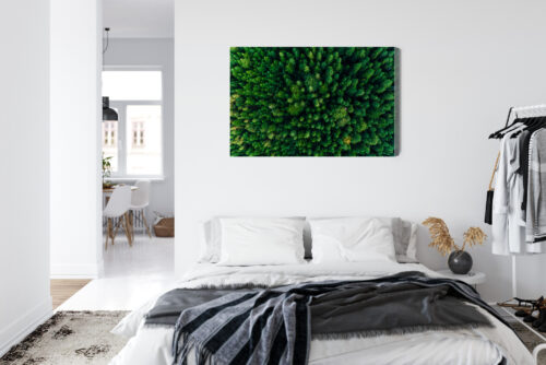 Obraz na płótnie Las Natura Widok z góry  Premium Canvas - obrazek 7
