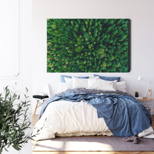 Obraz na płótnie Las Natura Widok z góry  Premium Canvas - obrazek 3