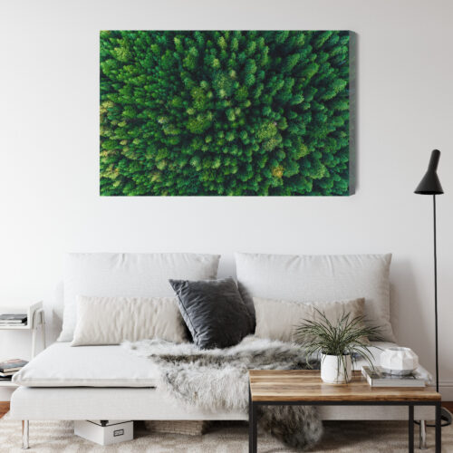 Obraz na płótnie Las Natura Widok z góry  Premium Canvas - obrazek 4