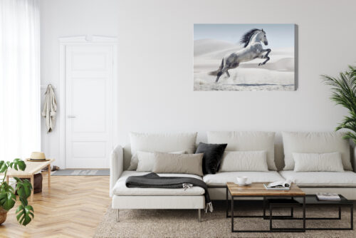Obraz na płótnie Koń Fotografia Pustynia  Premium Canvas - obrazek 6