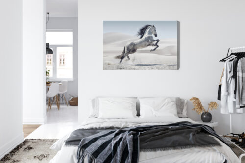Obraz na płótnie Koń Fotografia Pustynia  Premium Canvas - obrazek 7