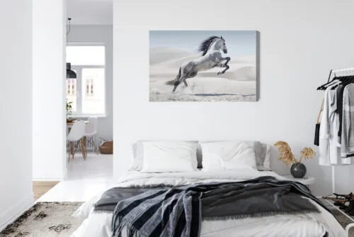 Obraz na płótnie Koń Fotografia Pustynia  Premium Canvas - obrazek 7