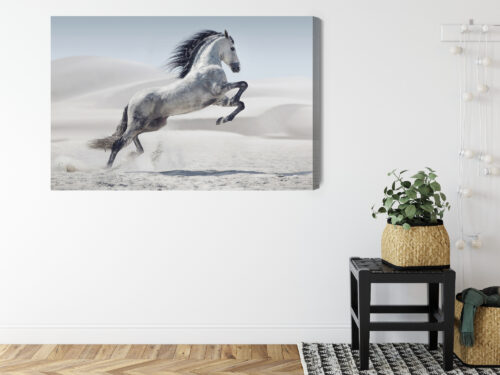 Obraz na płótnie Koń Fotografia Pustynia  Premium Canvas - obrazek 8