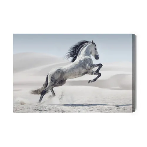 Obraz na płótnie Koń Fotografia Pustynia  Premium Canvas - obrazek 2