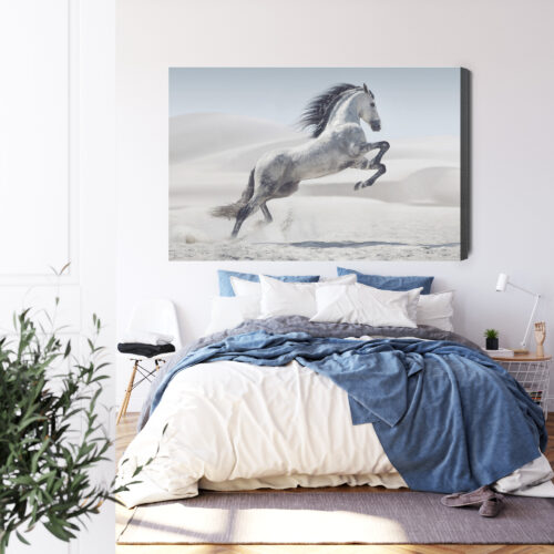 Obraz na płótnie Koń Fotografia Pustynia  Premium Canvas - obrazek 3