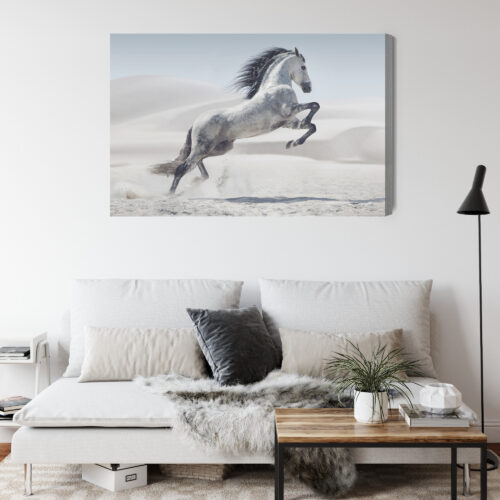 Obraz na płótnie Koń Fotografia Pustynia  Premium Canvas - obrazek 4