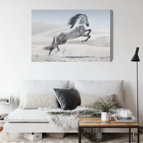 Obraz na płótnie Koń Fotografia Pustynia  Premium Canvas - obrazek 4