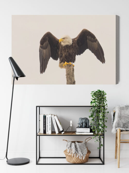 Obraz na płótnie Orzeł Realistyczny Drzewo  Premium Canvas - obrazek 9