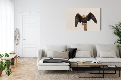 Obraz na płótnie Orzeł Realistyczny Drzewo  Premium Canvas - obrazek 6
