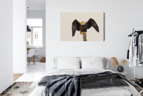 Obraz na płótnie Orzeł Realistyczny Drzewo  Premium Canvas - obrazek 7