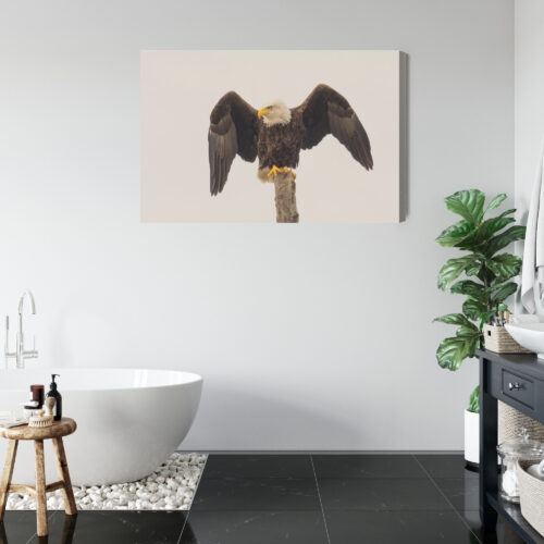 Obraz na płótnie Orzeł Realistyczny Drzewo  Premium Canvas - obrazek 5