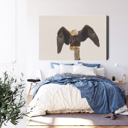 Obraz na płótnie Orzeł Realistyczny Drzewo  Premium Canvas - obrazek 3