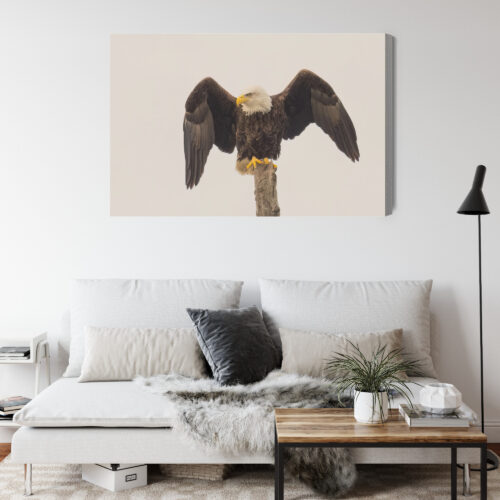 Obraz na płótnie Orzeł Realistyczny Drzewo  Premium Canvas - obrazek 4