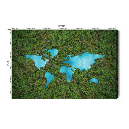 Obraz na płótnie Mapa Ekologiczna Ziemia  Premium Canvas