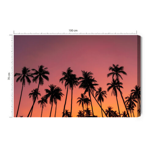 Obraz na płótnie Palmy Fotografia Zachód  Premium Canvas