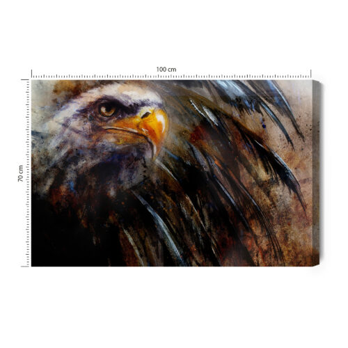 Obraz na płótnie Orzeł Ilustracja Głowa  Premium Canvas