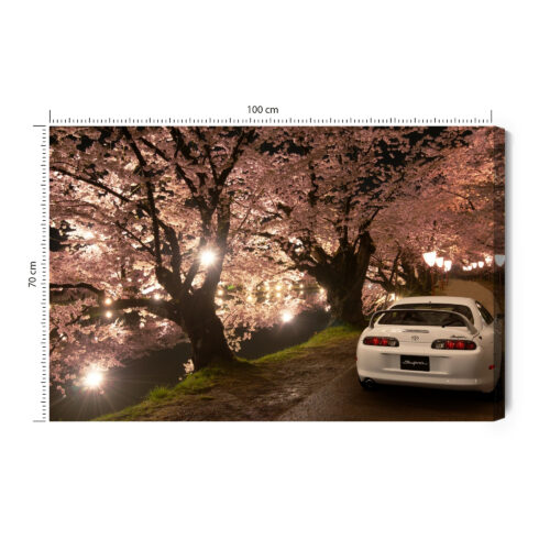 Obraz na płótnie Samochód Fotografia Wiśnie  Premium Canvas