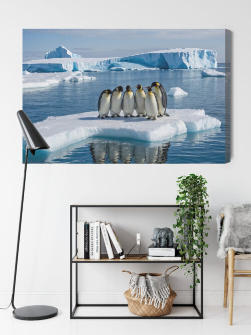 Obraz na płótnie Zwierzęta Pingwiny na krze Premium Canvas - obrazek 9