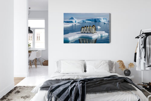 Obraz na płótnie Zwierzęta Pingwiny na krze Premium Canvas - obrazek 7