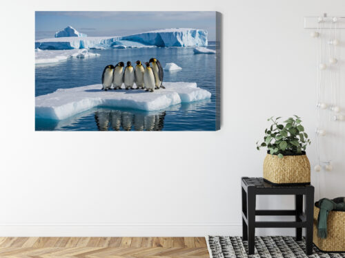 Obraz na płótnie Zwierzęta Pingwiny na krze Premium Canvas - obrazek 8