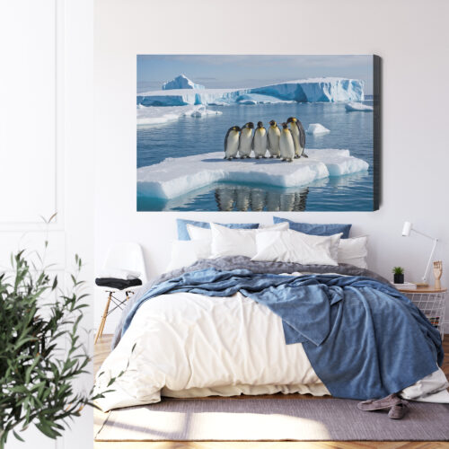 Obraz na płótnie Zwierzęta Pingwiny na krze Premium Canvas - obrazek 3