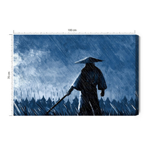 Obraz na płótnie Samuraj Deszcz Premium Canvas