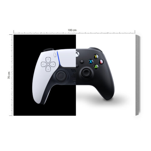 Obraz na płótnie Gamepady Minimalizm Kontrast  Premium Canvas